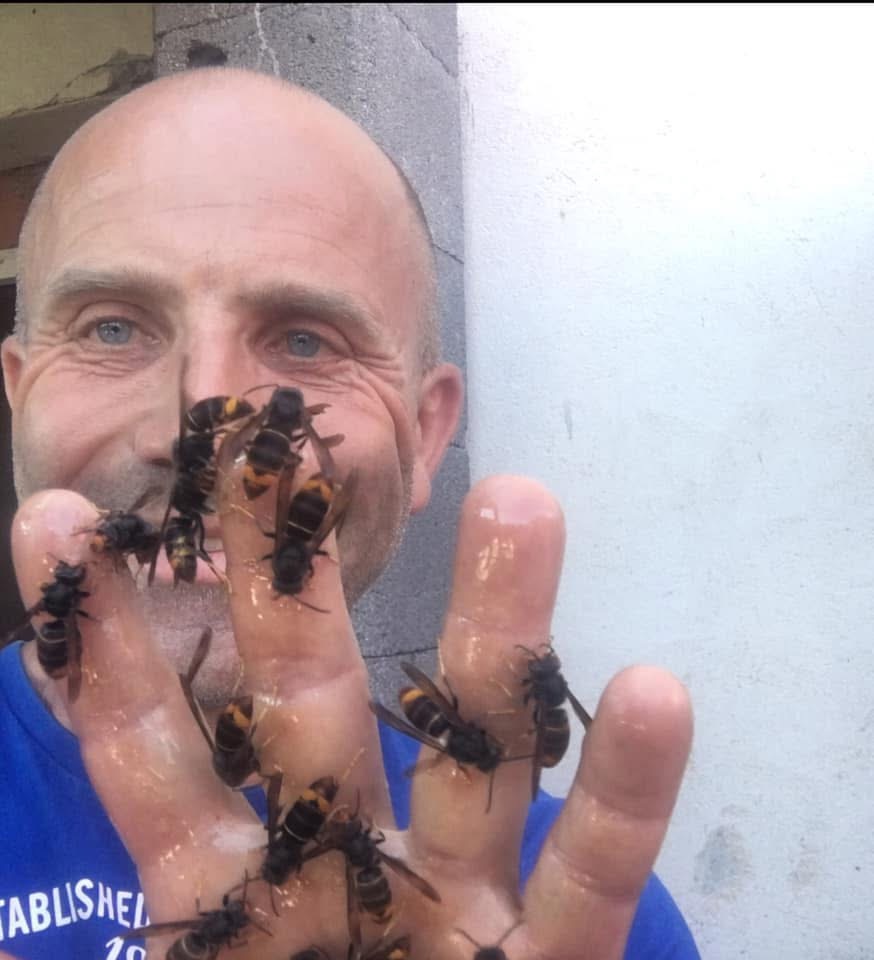 Photo de Marc Rebuffo avec des frelons en train de se nourir sur sa main