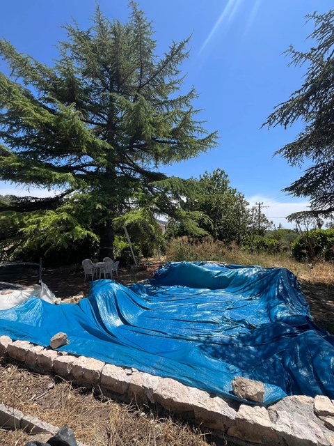 Photo d'un bassin naturel protégé par une bache dans le cadre de la destruction d'un nid de frelon dans la cime d'un arbre proche